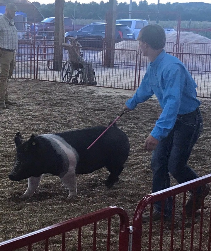 Cadon Riles
2019 Lauderdale County Fair
Reserve Champion Market Hog