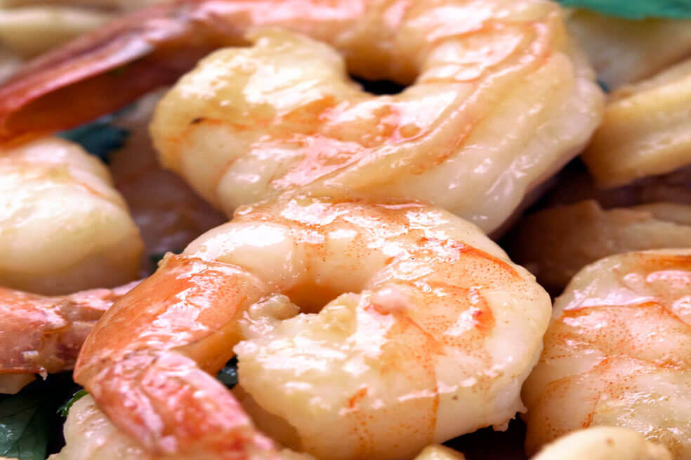 Freddie Avila, Pesca de Camarón y Mariscos SA de CV - CAMARON GIGANTE