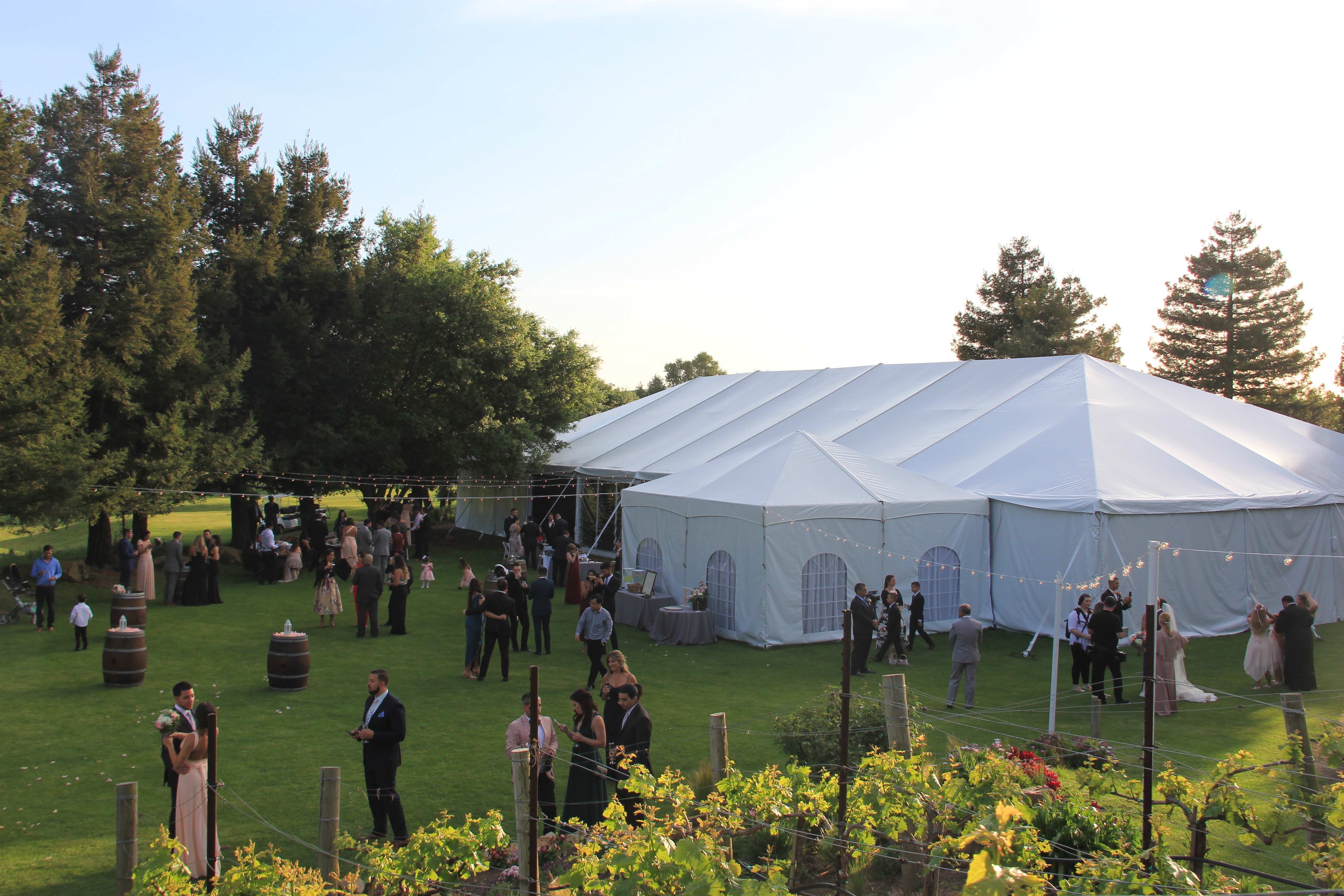 Capital shop tent rental