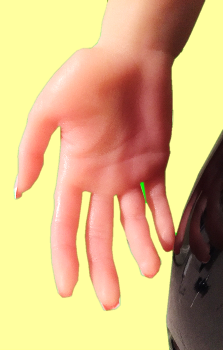 Kolander Images - Aurora Build - Hand