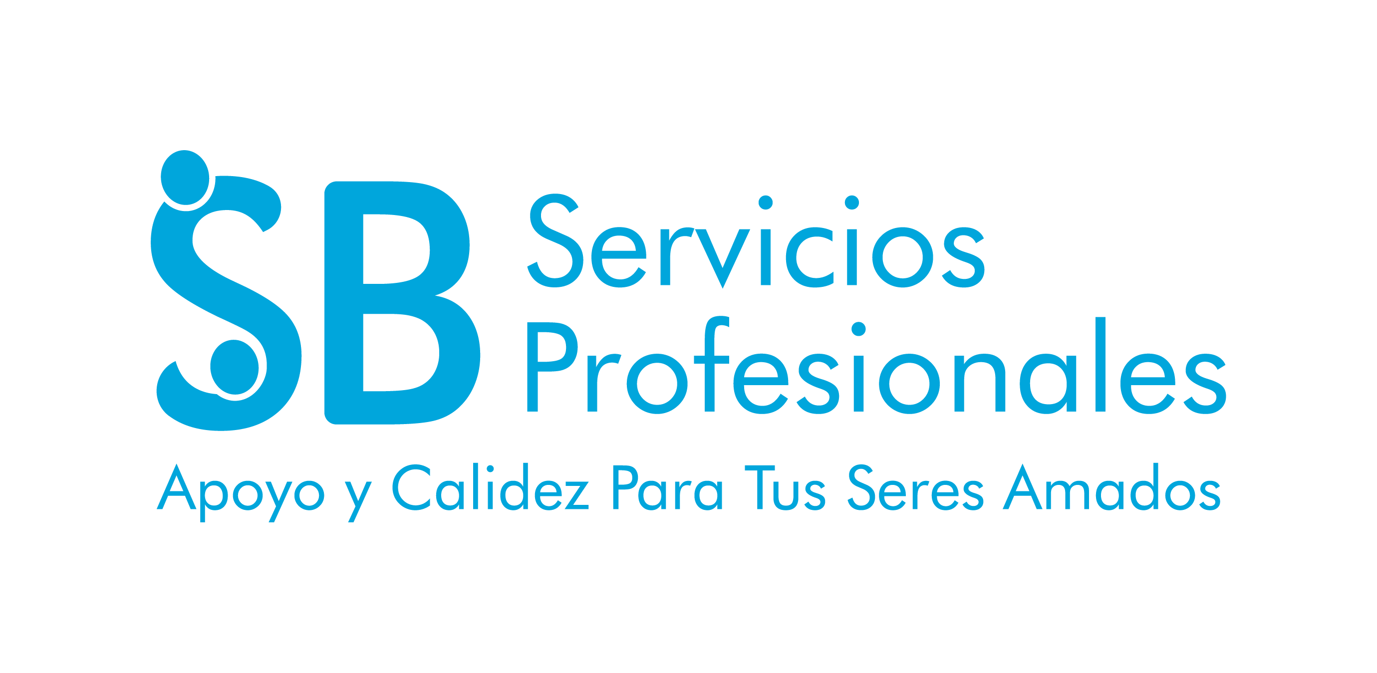 sb servicios profesionales 