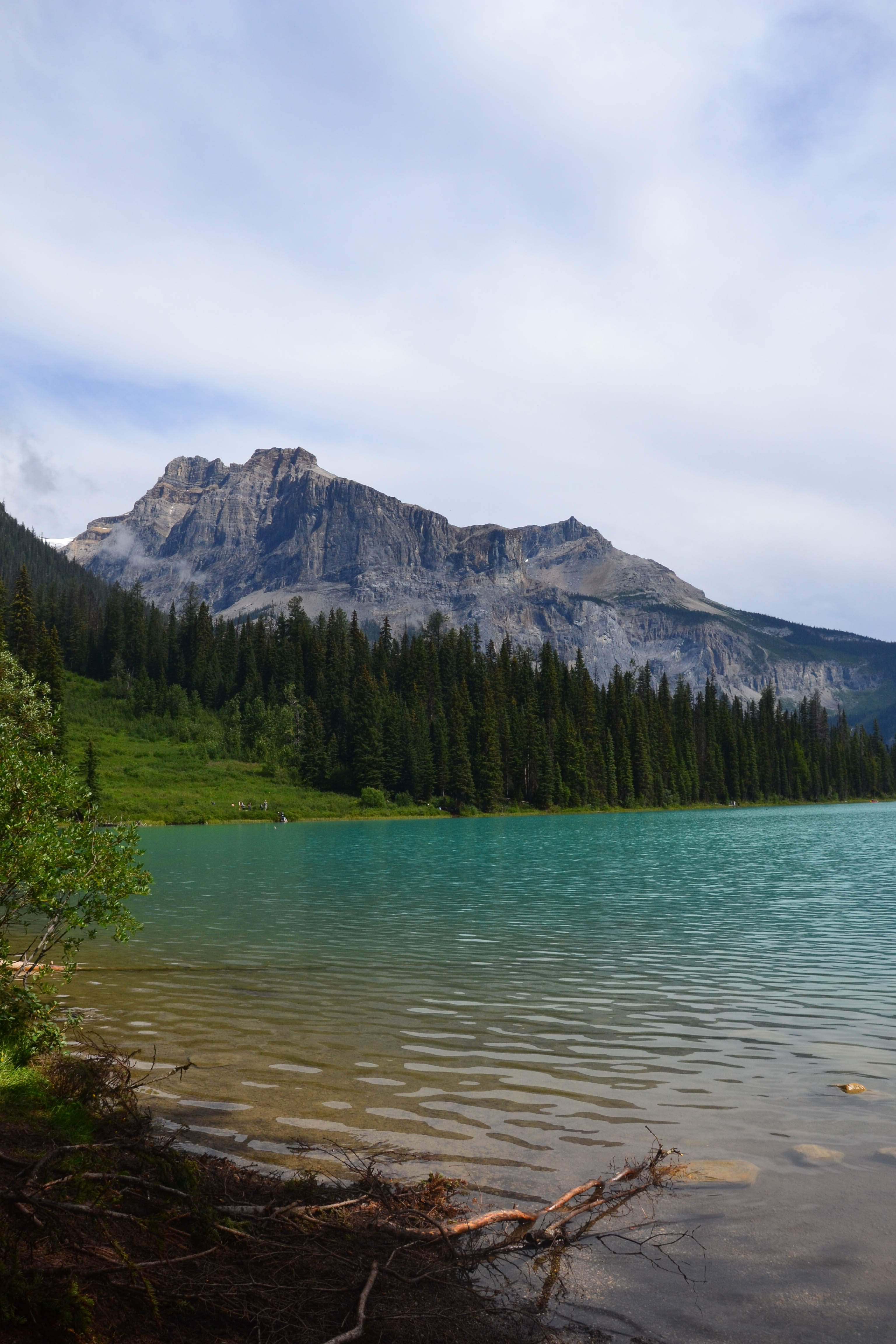 https://0201.nccdn.net/4_2/000/000/064/d40/calgary-order-130.jpg