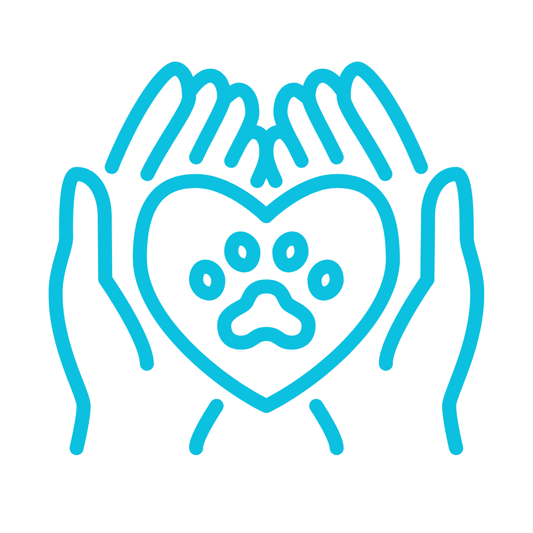 Ícono del enlace
