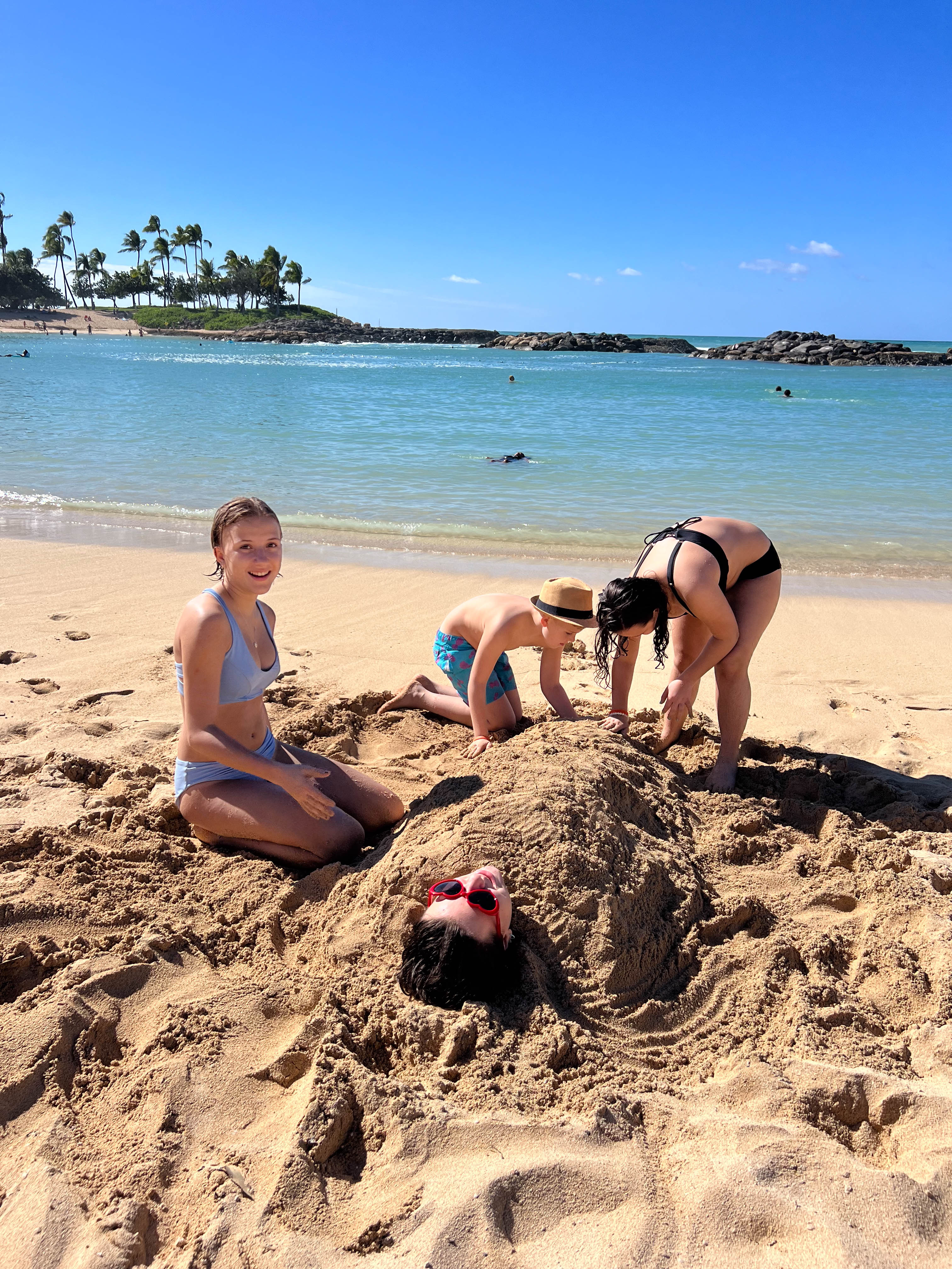 https://0201.nccdn.net/4_2/000/000/064/d40/hawaii-order-15.jpg