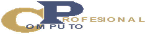 Computo Profesional