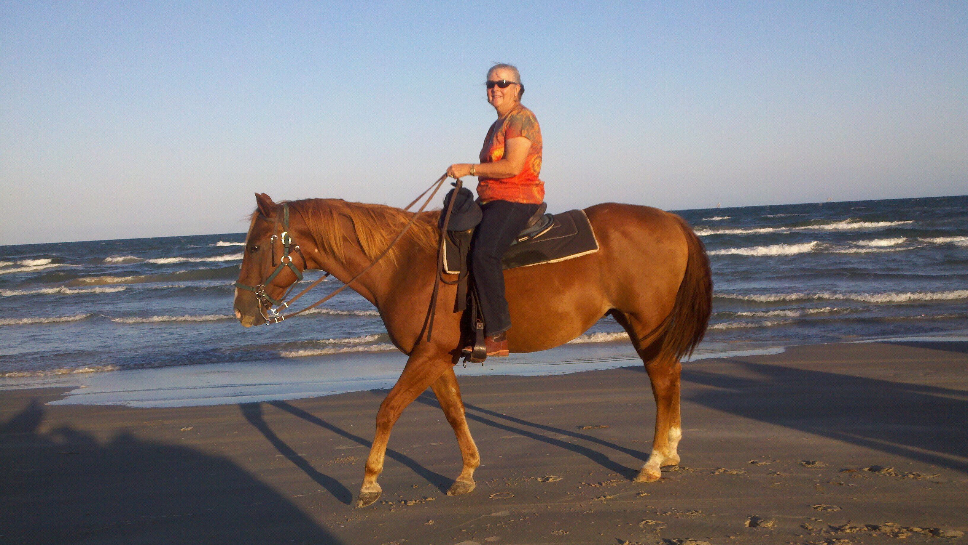 Horses On The Beach Corpus Christi Gallery