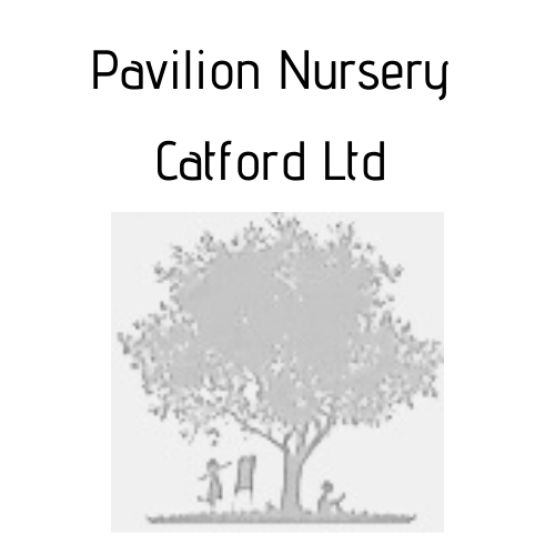 Pavilion Nursery Catford Ltd 