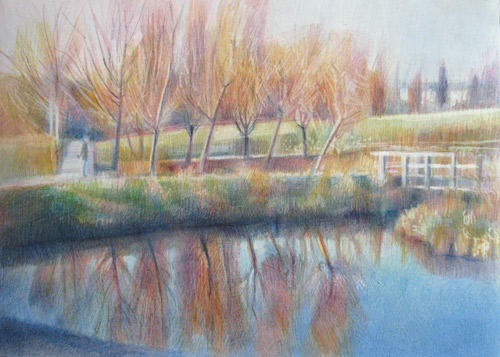 #4 26th December 2008 - The Willows across Moor Hen Pond