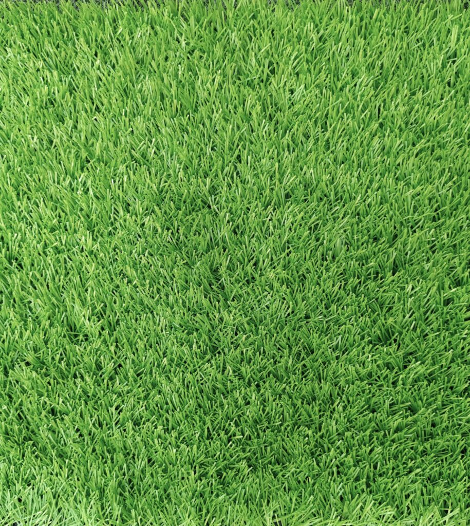 LIMON
SPORT-2 
 TGS-40