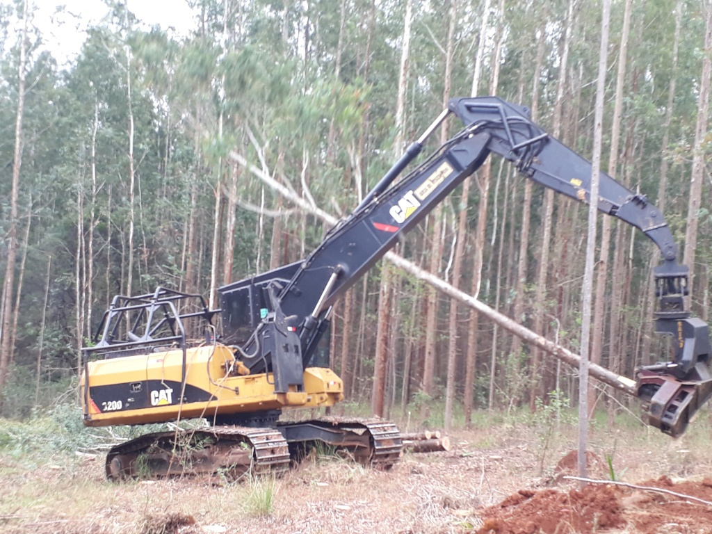 Happy female customer