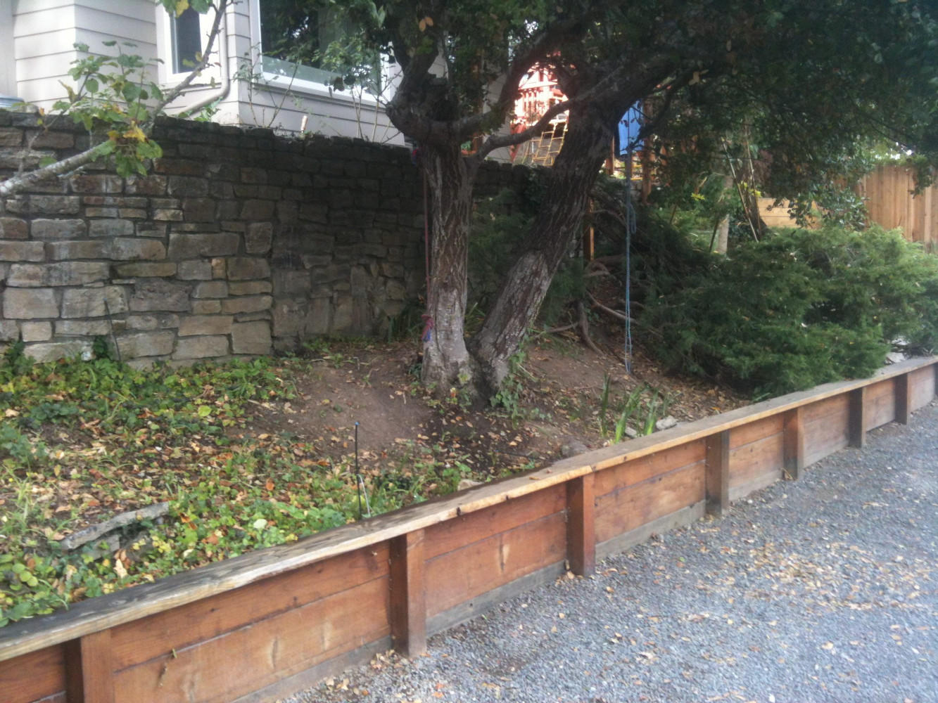 BEFORE - Oak & juniper to be removed from the approach. Top screening. Design resolves issues of erosion, lack of interest, beauty and color, including proper scale of plants for the area. 