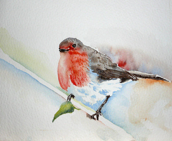 Robin ....... Watercolour