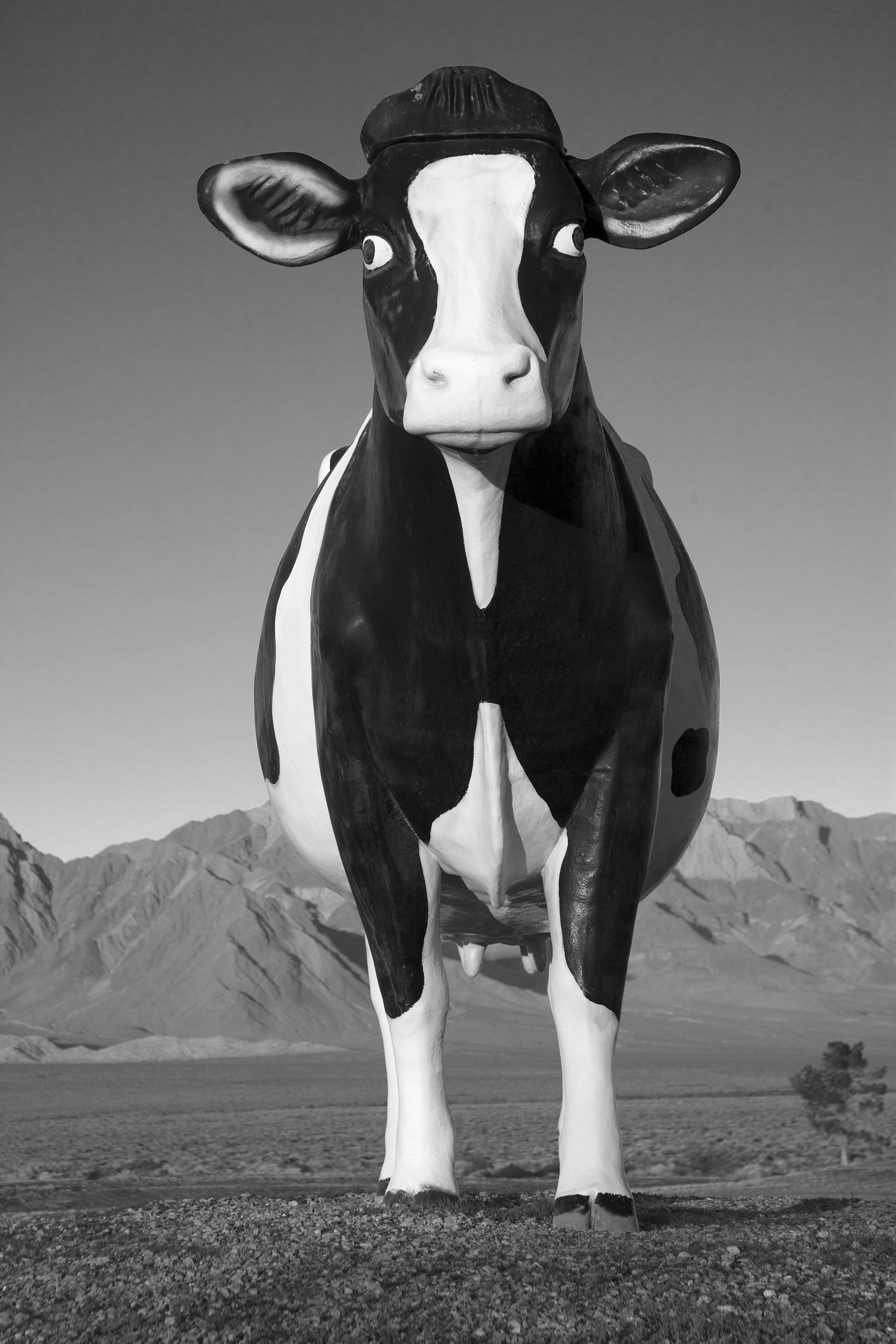 The Giant Cow Beside the Road