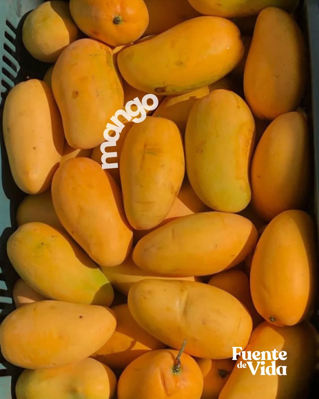 https://0201.nccdn.net/4_2/000/000/06b/a1b/20260507_154552497_ios.jpg