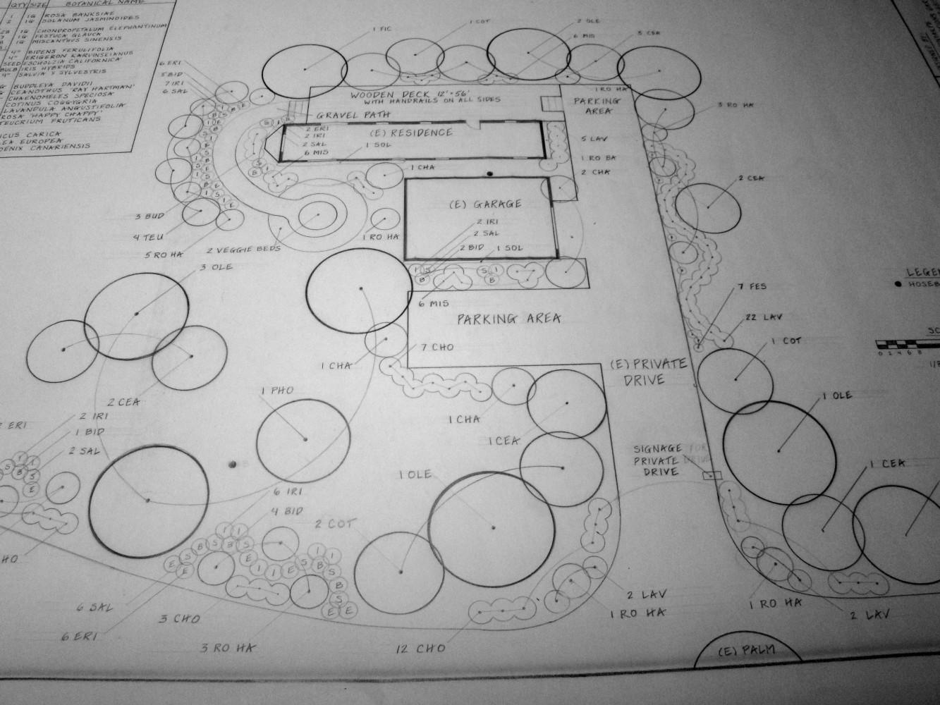 Design for a residential garden on a winery estate