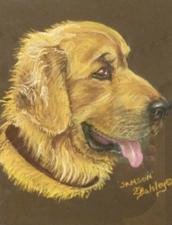 'Samson', Pastel on Paper (SOLD)