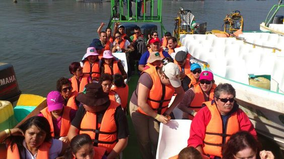 Top view of a motor boat