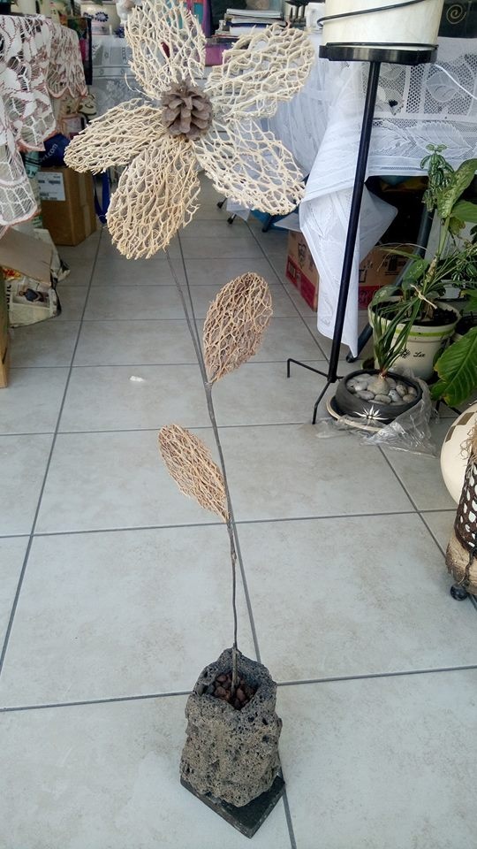 https://0201.nccdn.net/4_2/000/000/06b/a1b/Flor-de-nopal-deshidratado-540x960.jpg