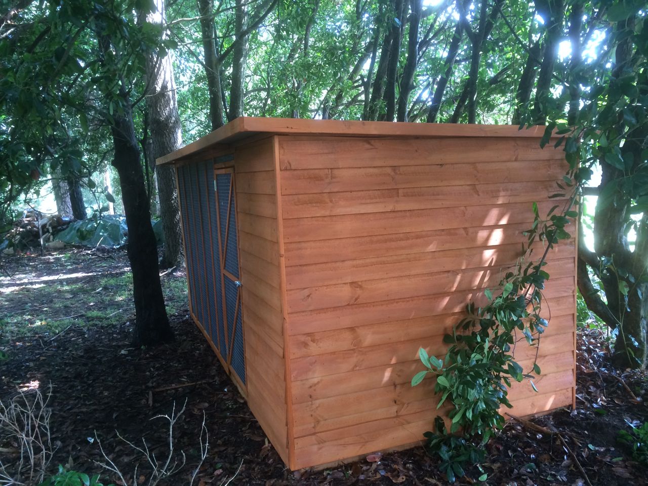 all wall covered in 'Paw Mesh' against mosquitoes.