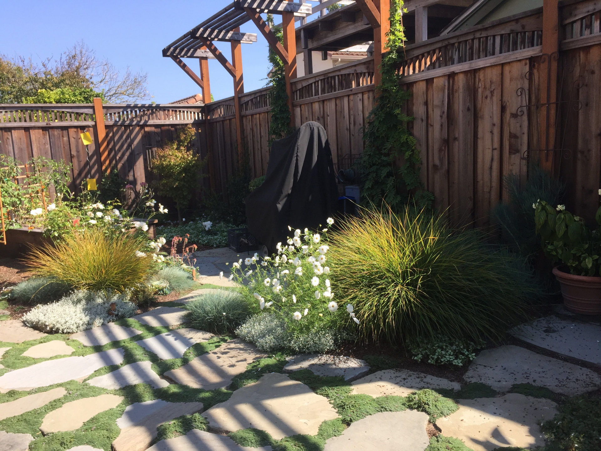 Moon Garden Colored Foliage 4