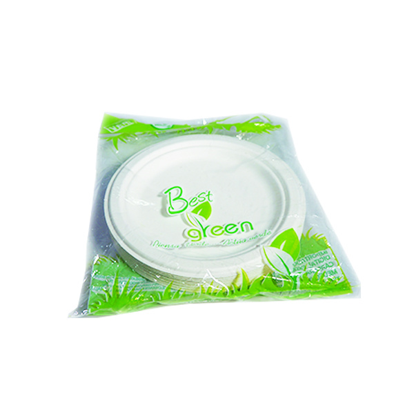 Plato Pando Best Green