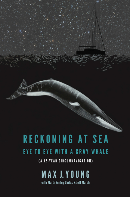 "Reckoning at Sea" book cover, depicting a sailboat at sea beneath a starry night sky, as a submerged gray whale approaches ominously