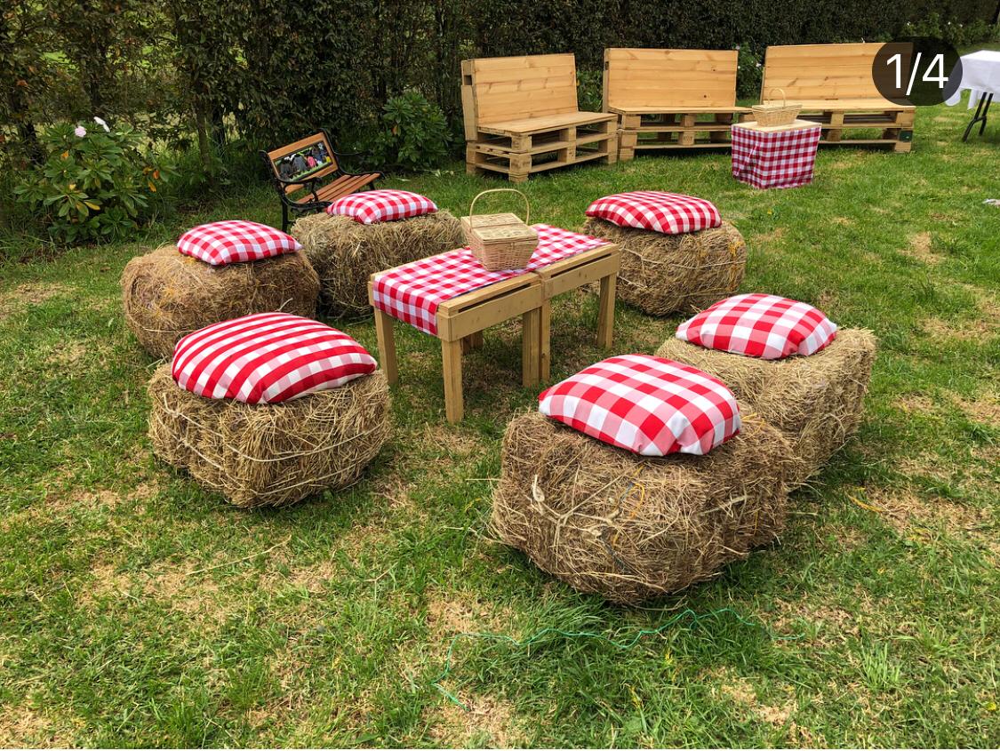 Cojin a Cuadros
Medidas 50x50cm
$5.000 Alquiler