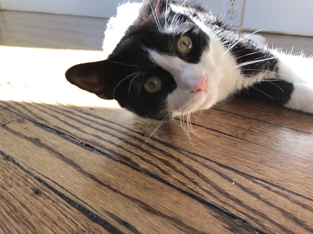 https://0201.nccdn.net/4_2/000/000/06b/a1b/be411c5a-f74b-4e37-8432-ba9184857018_1_105_c.jpeg