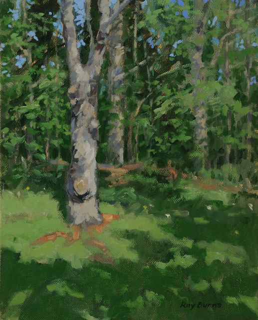 Burns, Tree Study, 10x8 Oil