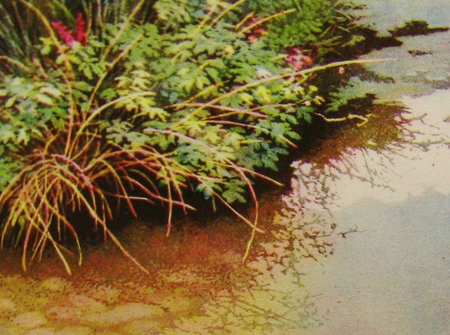 Hegler, Pond Reflections, 3x4, Aquatint