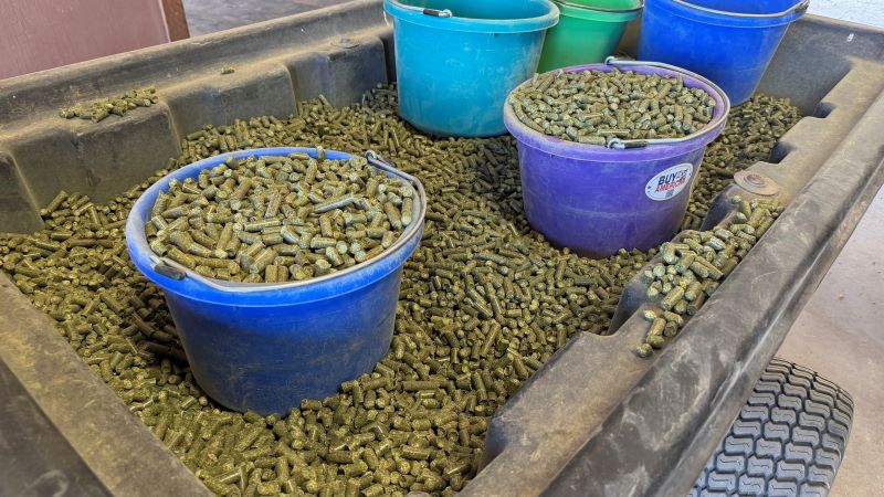 Horse Feed