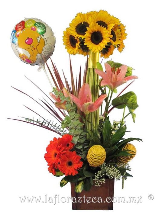 LFA-511
Precio $1130