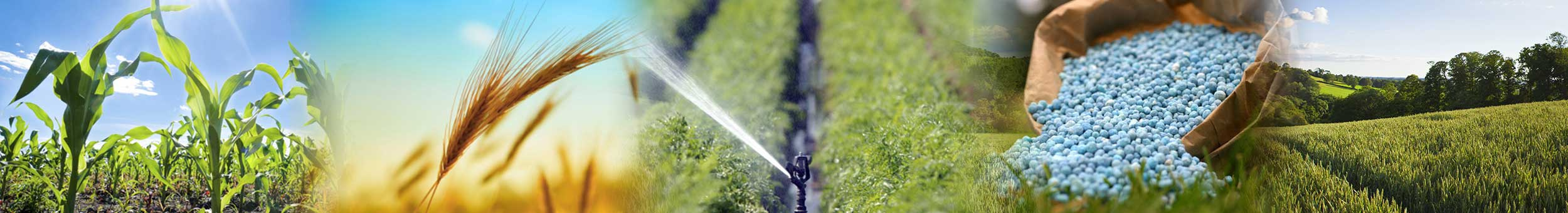 Agroservicios de Buenavista - equipo para agricultores