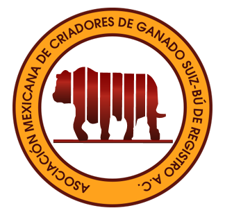 Criadores de ganado – Asociación Mexicana de Criadores de Ganado Suiz-Bú de Registro – Tampico