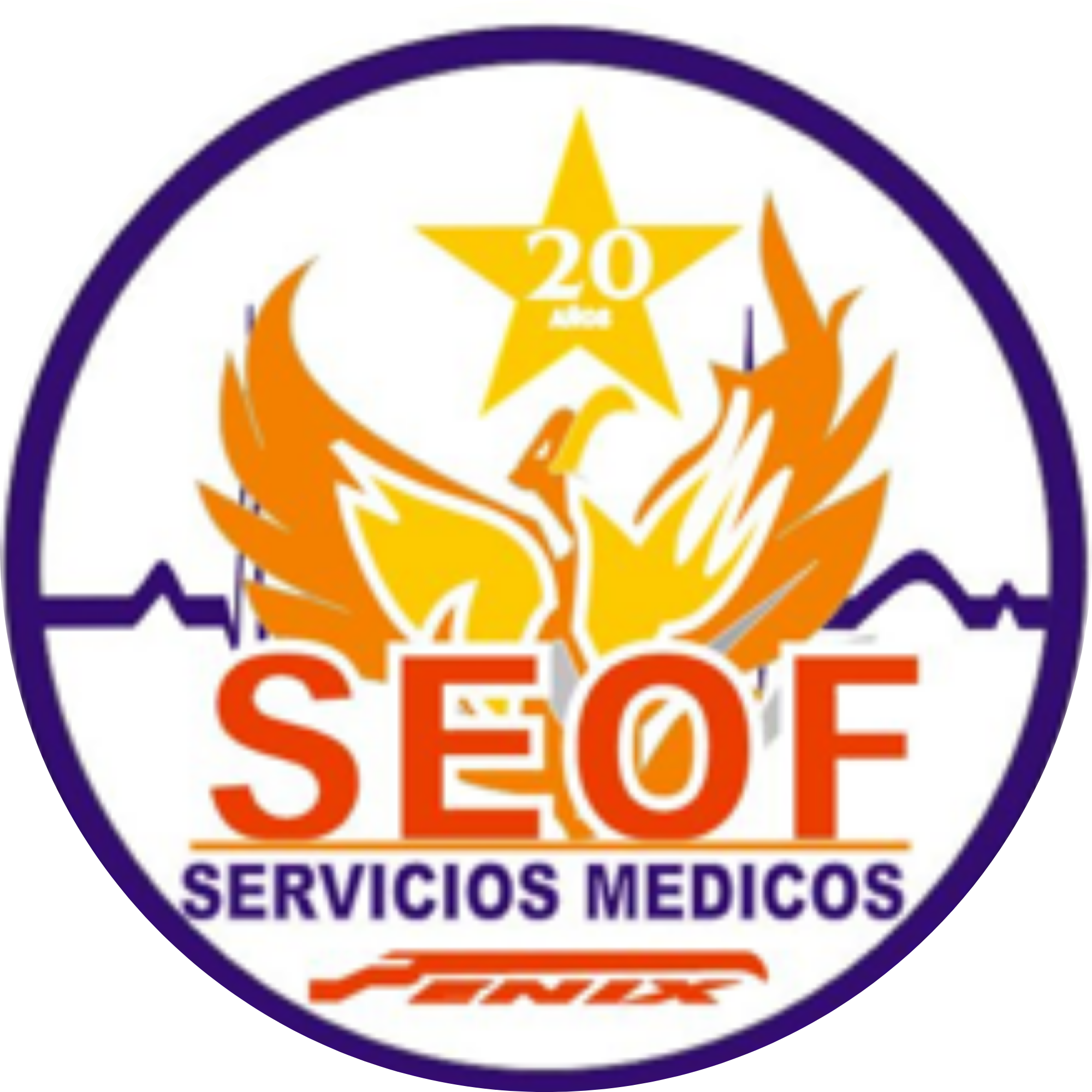 AMBULANCIAS SEOF