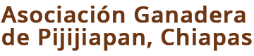 Traslado de ganado - Asociación Ganadera de Pijijiapan, Chiapas - Pijijiapan