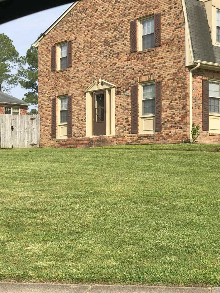 Well-Manicured Lawn