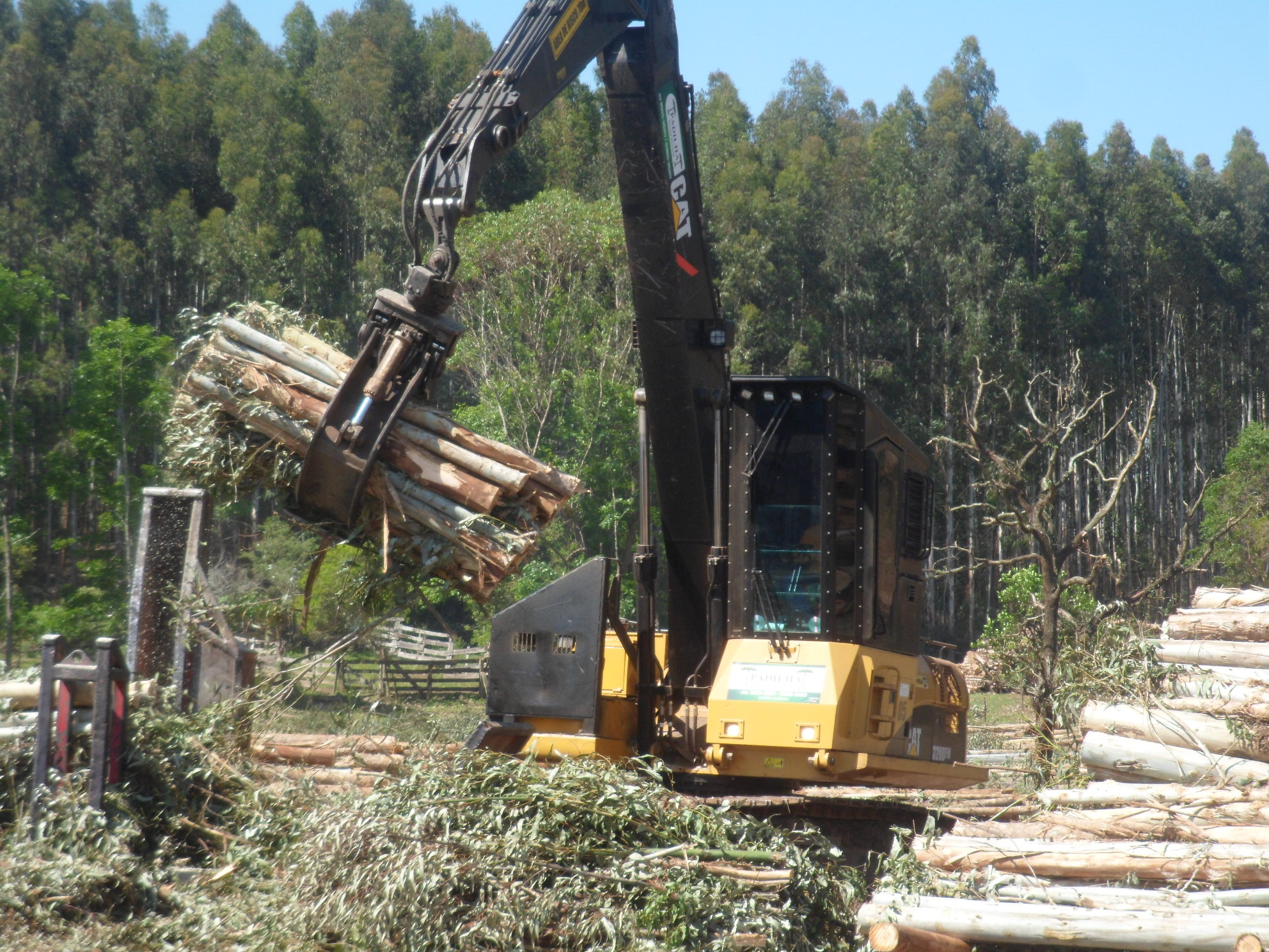 Happy female customer