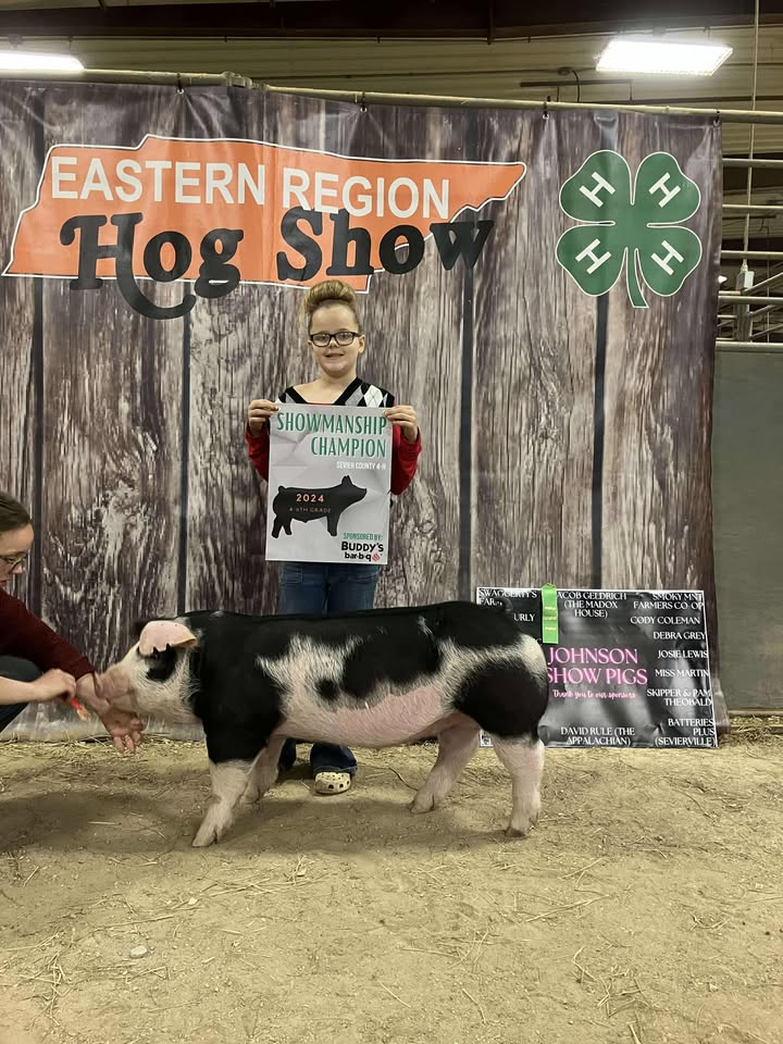 Raelyn Johnson
2024 Sevier County Hog Show 
4th Overall Breeding Gilt
Champion Showman
