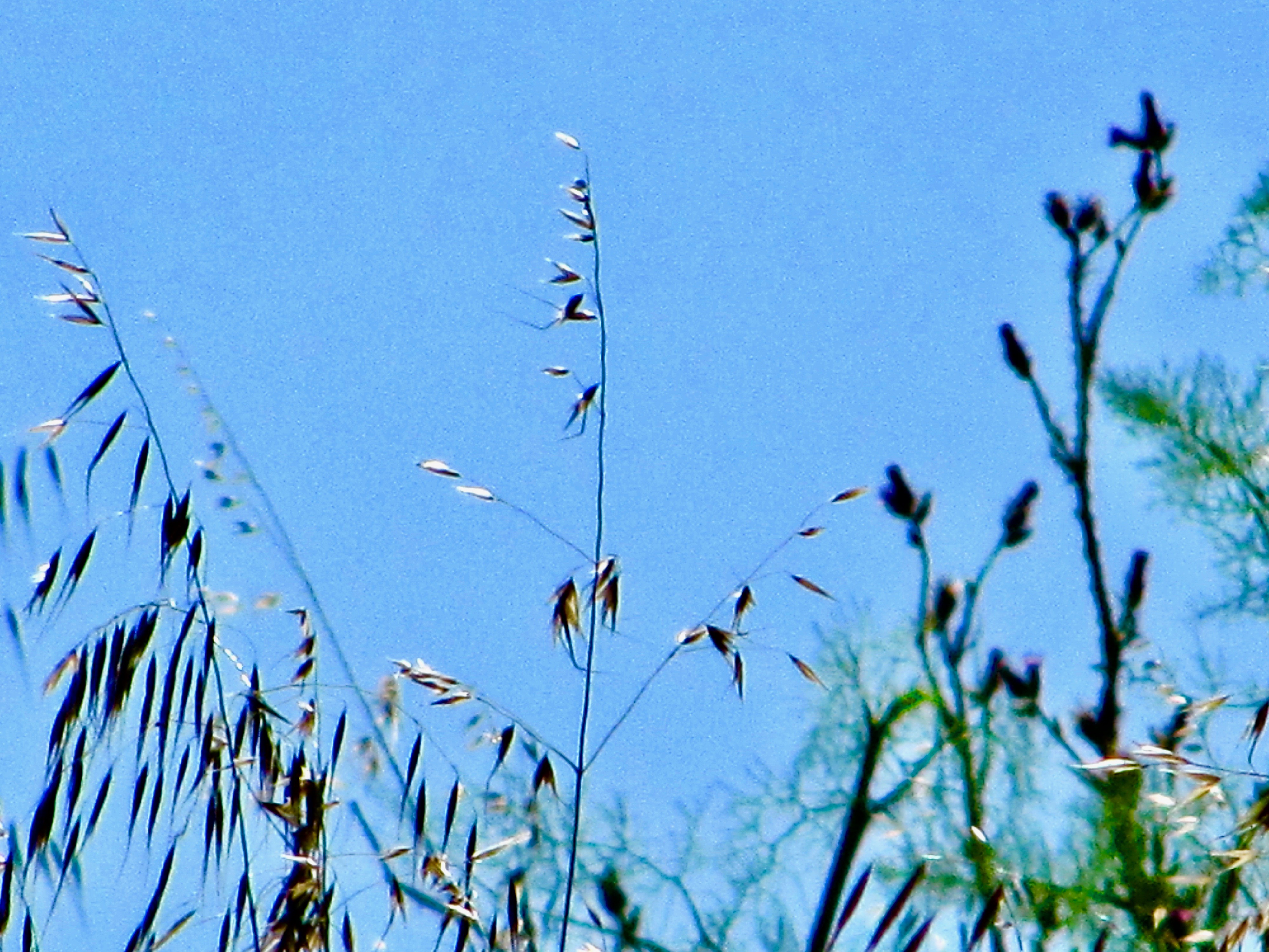 scape - series 1:6  2010