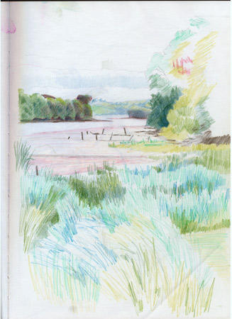 Jilly's Garden, Devon