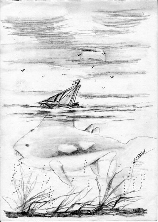 sail-fish-enhanced