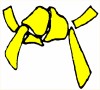 Yellow belt