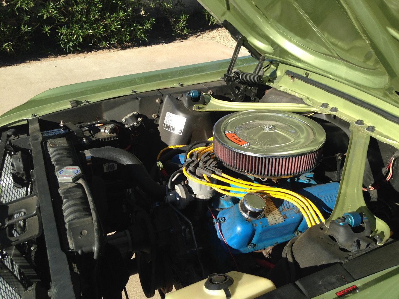 Nice clean compartment