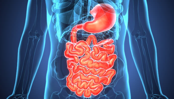 Centro de Enfermedades Digestivas Doctor Eloy Rendón - Úlceras Gástricas