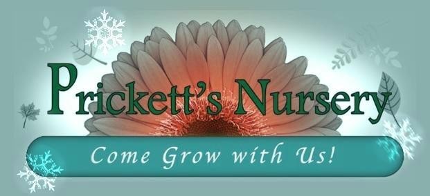 Prickett's Nursery