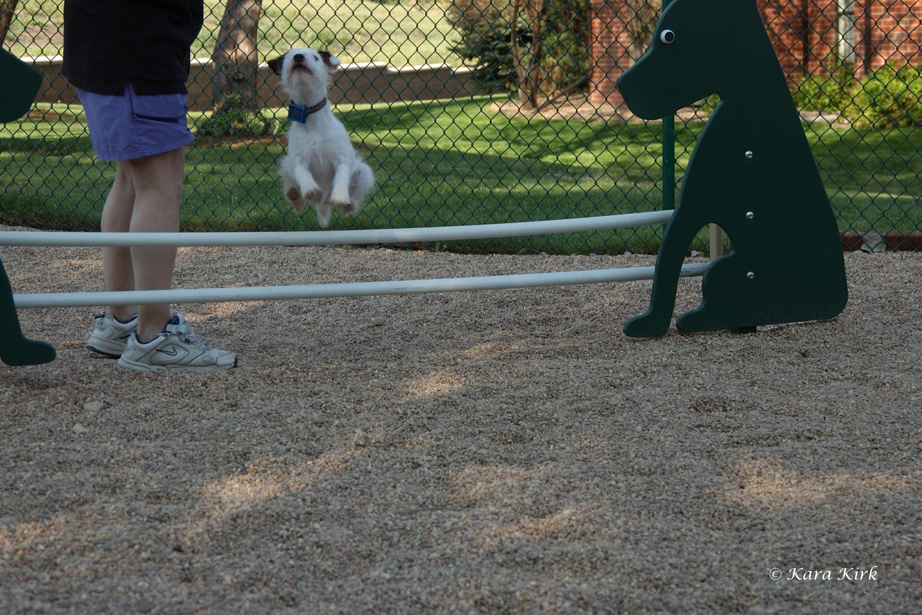 https://0201.nccdn.net/4_2/000/000/071/260/05-08-07-Keahi-Dog-Park-CCW-Greeley--CO-5-4x6.jpg