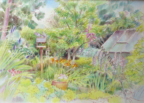 A Cheshire Garden in July 2011
10" x 14", pen and inck and coloured pencil in Moleskine sketchbook
copyright Katherine Tyrrell
