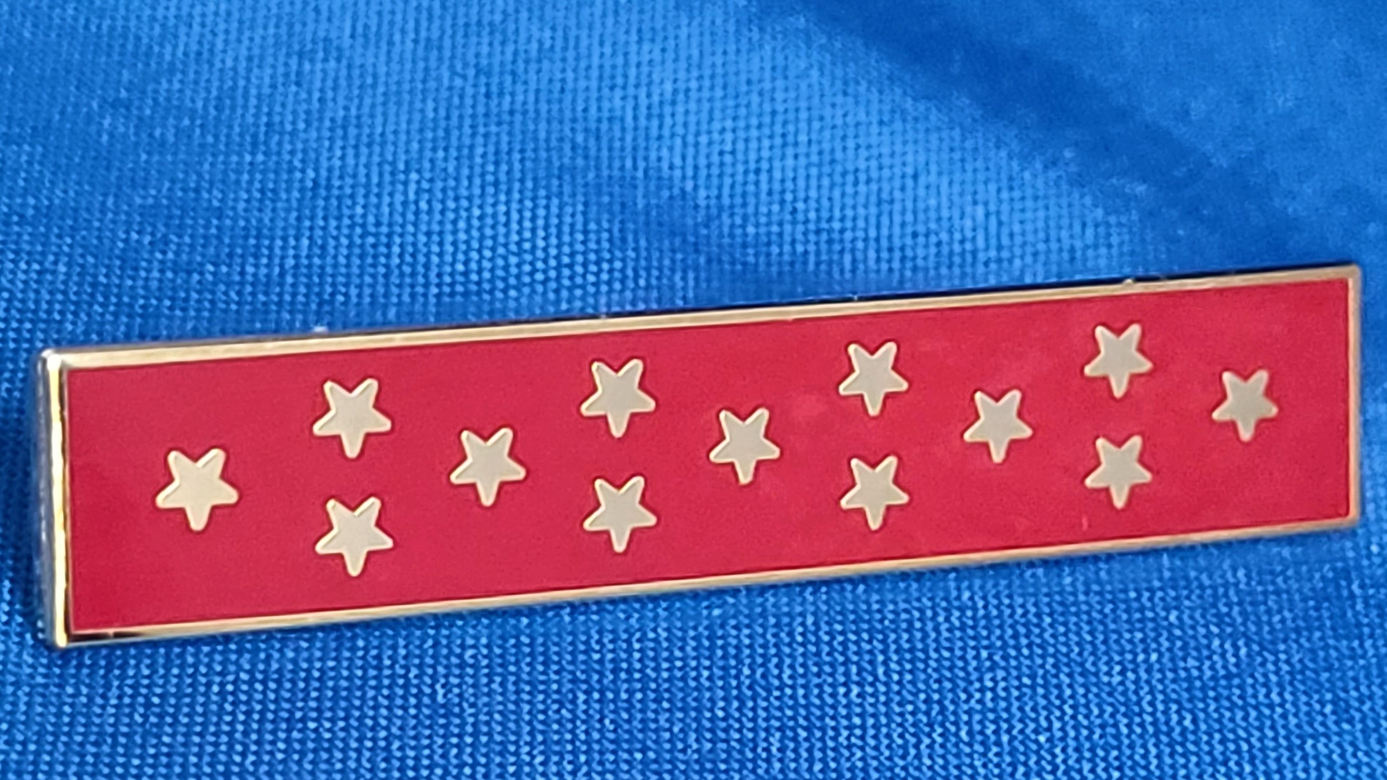 PIN ACHIEVEMENT COMMENDATION AWARD PINS