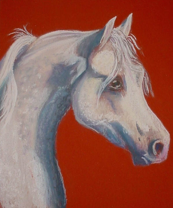 White Knight, Pastel on Paper, Framed   SOLD